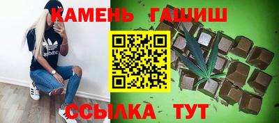 дмт Донской
