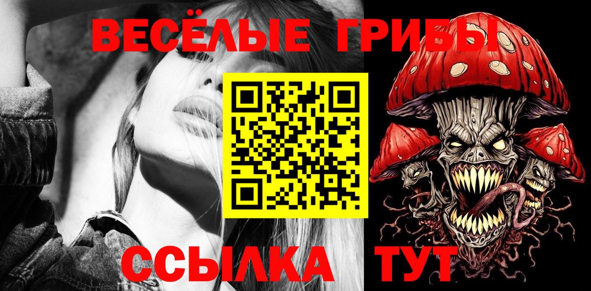 Дзержинский  Галлюциногенные грибы GOLDEN TEACHER  Вход с VPN 