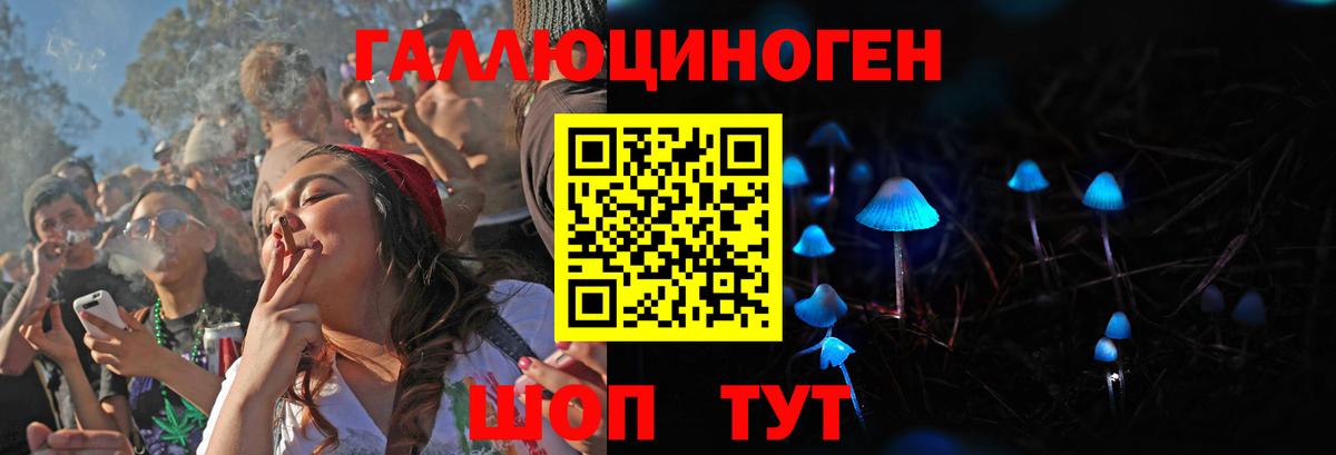 Галлюциногенные грибы GOLDEN TEACHER Дзержинский